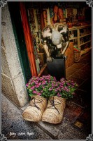 /album/fotogaleria-girona/anna-flors-girona-161-inpixio-640x480-jpg/